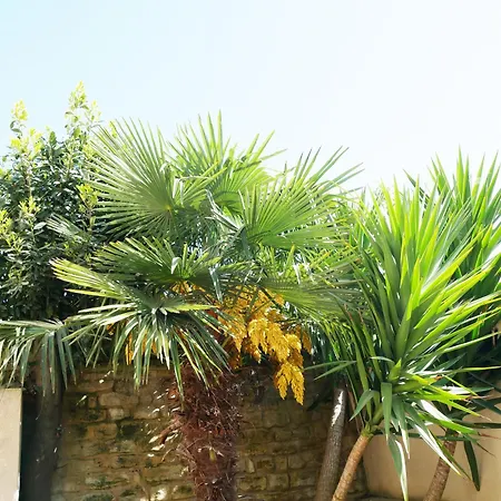 Bed & Breakfast L'echappee Belle